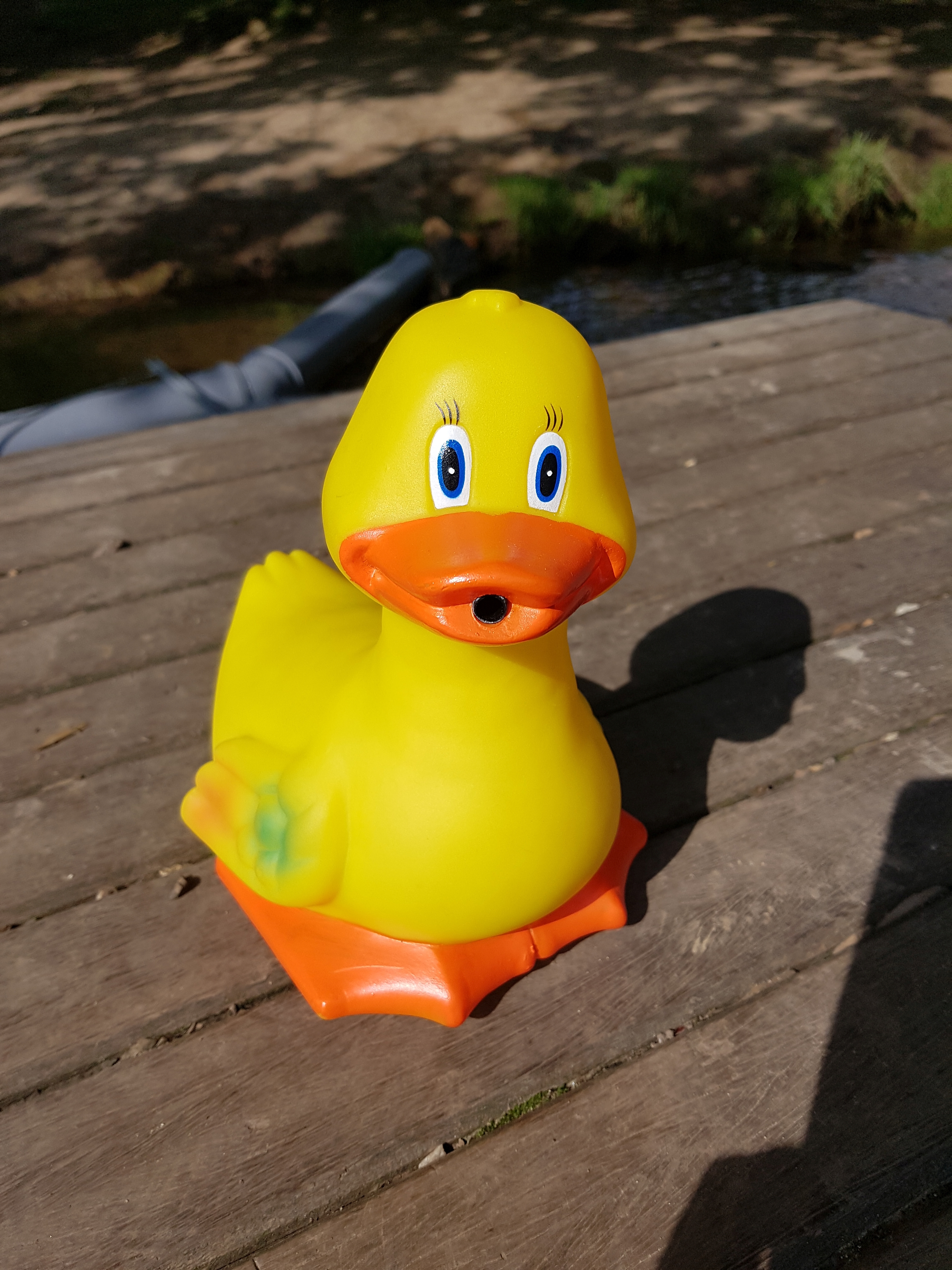 Große Ente zur Aufsicht